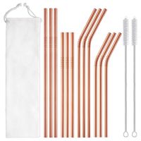 26.5cm Long Reusable Metal Straws 304 Stainless Steel Straws Set Eco-friendly Drinking Straws for Cocktail Bar Party Drinkware