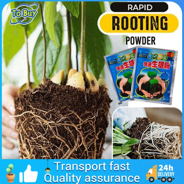 Rapid Root Power Plant Cutting Tree Root Power Rapid Root Regulator ...