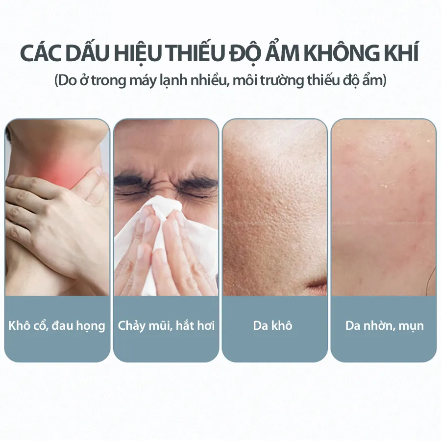 Máy Phun Sương Đa Năng CIND B17 Màu Vàng - Nhập Khẩu Chính Hãng ...