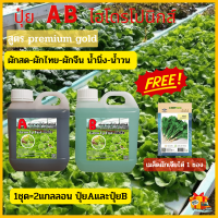 ปุ๋ยไฮโดรโปนิกส์ ใหม่ !!! HYDROPONIC-โตเร็ว ขนาด 1 ลิตร 2แกลลอน A+B ไฮโดรโปนิกส์ (AB ไฮโดรโปนิกส์1)