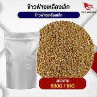 ฟ่างเหลืองเม็ดเล็ก Yellow Sorghum อาหารนก กระต่าย หนู กระต่าย กระรอก ชูก้า และสัตว์ฟันแทะ อาหารสัตว์เลี้ยง (แบ่งขาย 500G / 1KG)