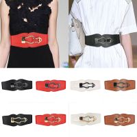 【CW】✸❄  Fashion Wide Waistbands Elastic Waist Color Buckle Cummerbunds Stretch