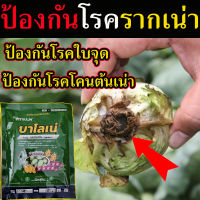 สารป้องกันกำจัดโรคพืชใบ  100 กรัม  แบบฉีดพ่น ป้องกัน กำจัดเชื้อรา รากเน่า โคนเน่า กำจัดเชื้อรา โรครากเน่าโคนเน่า โรคราน้ำค้าง