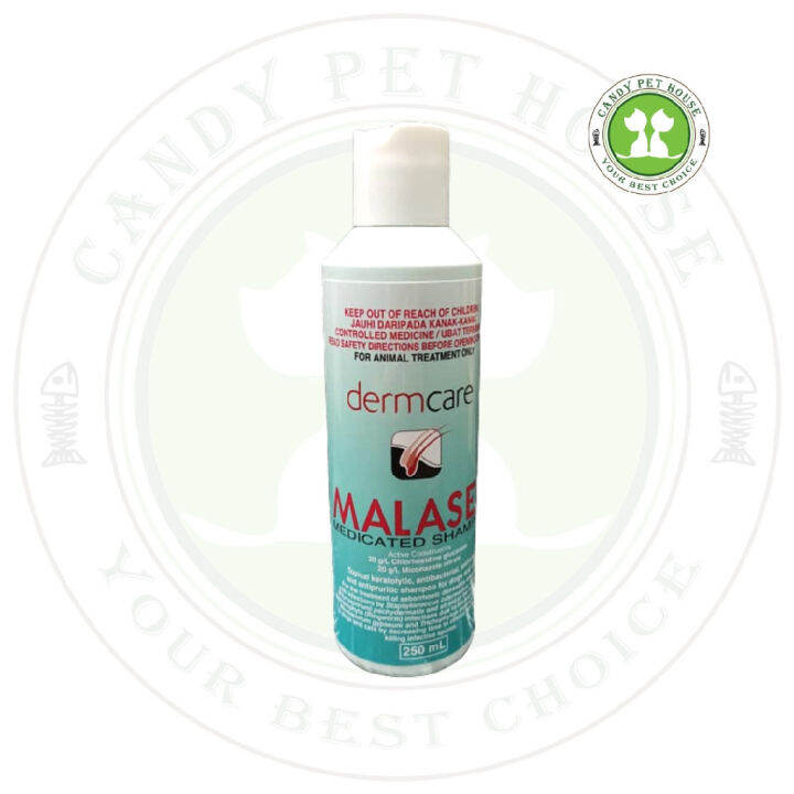 Dermcare Malaseb Medicated Shampoo 250ml Lazada