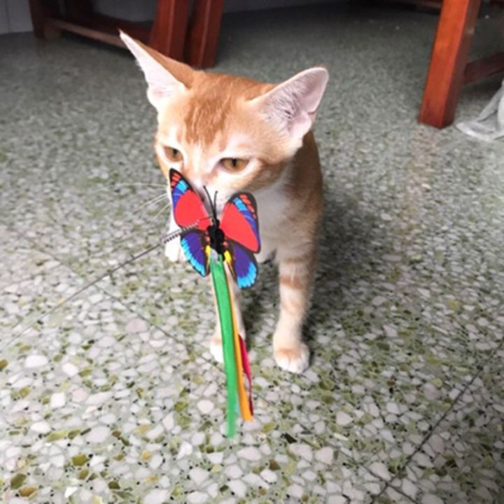 3pcs-ตุ๊กตาแมวตลกผีเสื้อแมวไฟฟ้ากระพือผีเสื้อหมุนเติมของเล่นหยอกแมวของเล่นเปลี่ยน