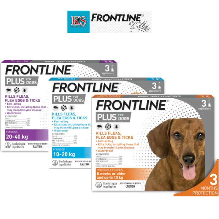 Is Frontline Safe For Nursing Dogs