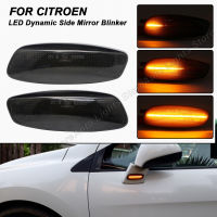 For Citroen C3 C4 C5 For Peugeot 308 3008 5008 207 Hatchback LED Car Lamps 2PCS LED Mirror Blinker Turn Signal Dynamic Lights