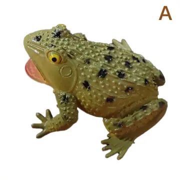 Shop Frog Model Animal Toy with great discounts and prices online