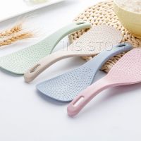 INS ทัพพีตักข้าว ข้าวไม่ติดทัพพี ทำจากฟางข้าวสาลี wheat straw spoon