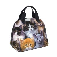 Portable Lunch Bag Insulated Cooler Picnic Case Cute Cat Pattern Print Thermal Bento Handbag Lunch Container Food Storage Bags