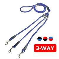 【CW】 3 In 1 Way Dog Coupler Leash No Tangle Splitter for Walking Three Small Dogs Cats Rope