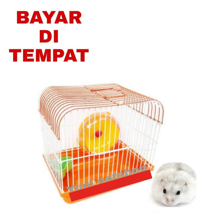 KANDANG HAMSTER MURAH MERIAH DI LENGKAPI PUTARAN UNTUK OLAH RAGA DAN ...