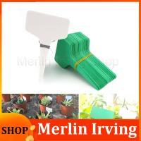 Merlin Irving Shop 100pcs Plant Tag T Type Plant Markers Label Nursery Pots GardenTool  for Plant Flower Pot Vegetable Tray Sign Card