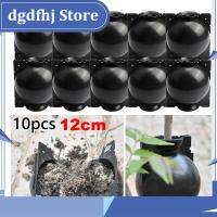 Dgdfhj Shop 12cm 10Pcs Plant Rooting Device-Assisted Cutting Rooting 0High Pressure Propagation Ball High Pressure Box Grafting