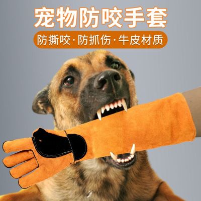 High-end Original Tear and Bite Anti-Bite Gloves Cowhide Scratch Dog Anti-Cat Scratch Training Dog Nail Clipping Hamster Pet Anti-Scratch and Bite Thick Long