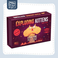 Fun Dice: Exploding Kittens: Party Pack Board Game