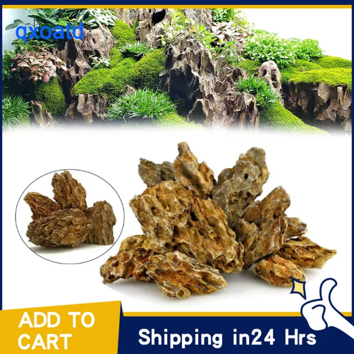 Natural Dragon Stone Dragon Ohko Stone Rock for Aquariums Decoration