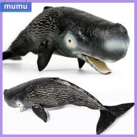 MUMU ธรรมชาติ ของเล่นเพื่อการศึกษา การเรียนรู้ในช่วงต้น การจำลอง sealife โมเดลวาฬสเปิร์ม สิ่งมีชีวิตทางทะเล รูปแกะสลัก cachalot