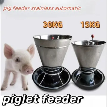 Automatic pig feeder for cheap sale