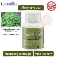 เจียวกู่หลาน 250 กิฟฟารีน ปัญจขันธ์  jiaoguian 250 Giffarine ขนาด 60 แคปซูล พร้อมส่ง กิฟฟารีนของแท้100%