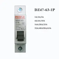 1P 220V-400V 1a/2a/3a/4a/6a/10a/16a/20a/25a/32a/40a/50a/63a Dz47-63อนุมัติโดย Ce สวิตช์แอร์เบรกเกอร์บ้าน