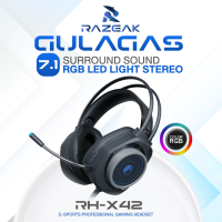 RAZEAK RH-X42 GUJLAGAS 7.1 SURROUND SOUND RGB LED LIGHT STEREO COLOR RGB