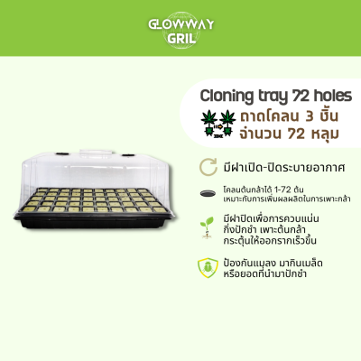 Cloning tray72หลุม ถาดโคลน ถาดเพาะเมล็ด ถาดความชื้น ถาดปักชำ ถาดเพาะปลูก ถาดโคลนนิ่ง กล่องเพาะเมล็ด (3ชิ้น)