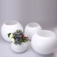 dern Spherl Glass Vase Hotel Lobby Desktop Vase t atn --ZMBJ23811№┅