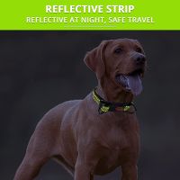 【CW】 Dog Collar Pet Dog Reflective Tracker Collar Night Safety Dog Loss Prevention Anti Lost Collar Collar Pet Accessorie