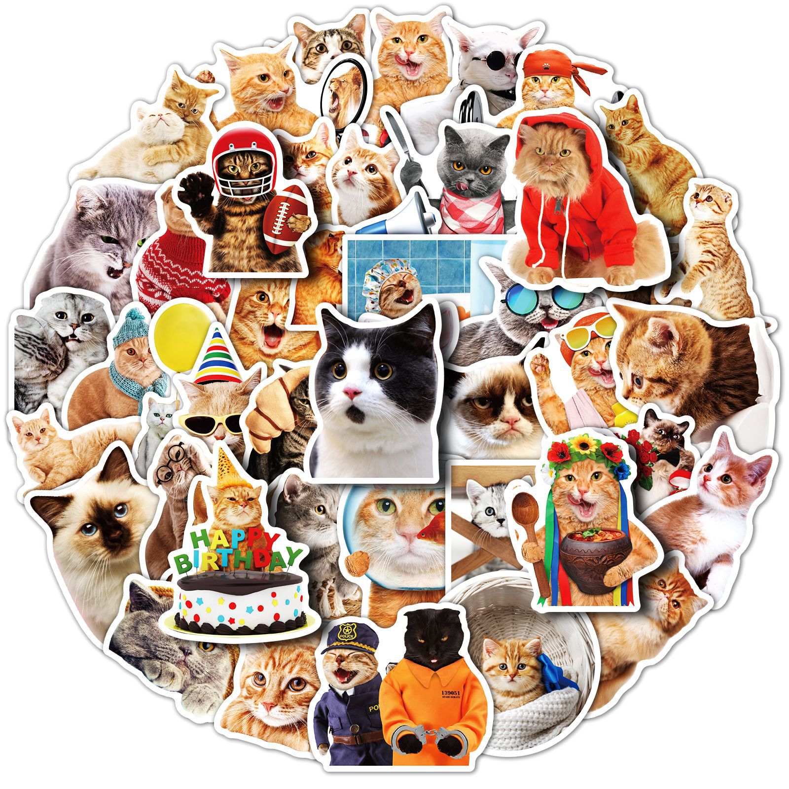 Lovland สติ๊กเกอร์กราฟฟิตีสัตว์แมว1ชิ้นของเล่นตลกสำหรับเด็กการ์ตูนสมุดภาพแลปท็อปโทรศัพท์กระเป๋ารถ