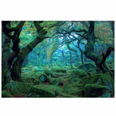 3*5ft Green Jungle Forest Photography Backdrop Studio Props Photo Background