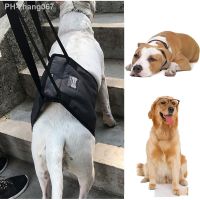 Disabled Dog Harness Support Support Hind Leg Disability Auxiliary Dog Lifting Belt Pet Auxiliary Belt Dog Walking