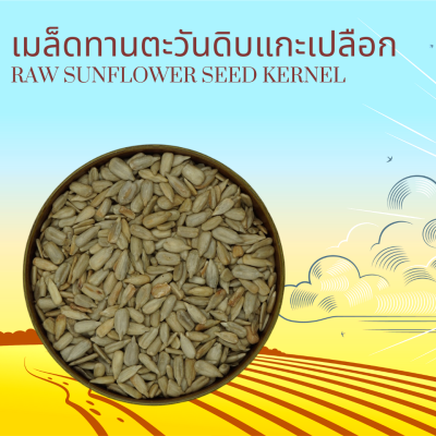 เมล็ดทานตะวันดิบแกะเปลือก 500 กรัม Raw Sunflower Seed Kernel 500 g