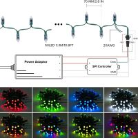 50Pcs WS2811 DC 5V 12V 12Mm LED โมดูลสีดำสีเขียว RWB ลวดสายไฟตกแต่งคริสต์มาส Light แอดเดรส IP68กันน้ำ