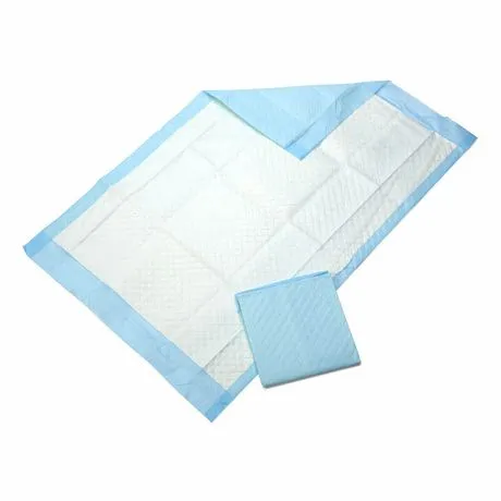 Disposable Underpad 60cm x 90cm 10sheets per Pack Pelapik Tilam for ...