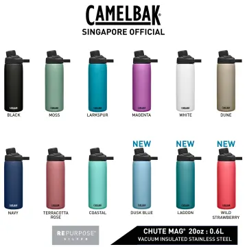 CamelBak Carry Cap 32 oz Bottle Insulated Stainless Steel Moss