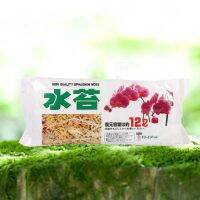 【Clearance】Garden Supplies Sphagnum Moss Moisturizing Nutrition Organic Fertilizer For Phalaenopsis Orchid