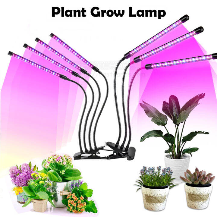 Plant Growing Lamp Simulate Sunlight With Adjustable LED With Timer ...