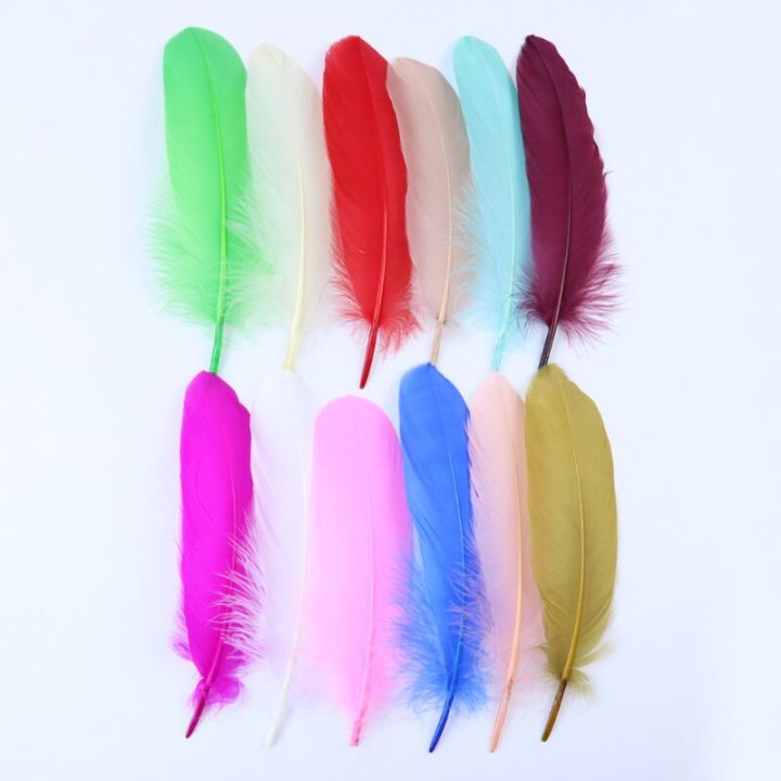 100-pcs-package-colored-diy-goose-flow-process-feather-fluorescent-flower-chestnut-decoration-accessories
