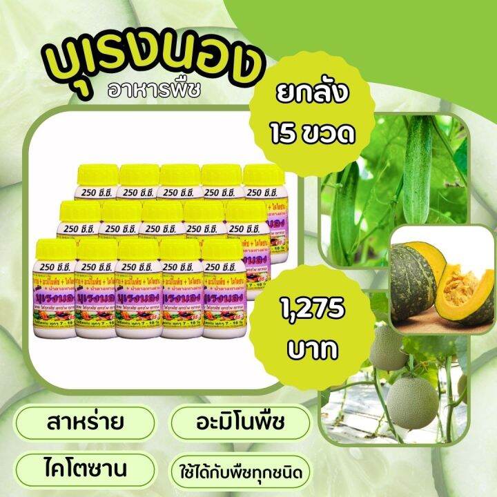 พร้อมส่ง-บุเรงนอง-ขนาด-250-ซีซี-ยกลัง-15-ขวด-อะมิโนพืช-สาหร่าย-ไคโตซาน-น้ำตาลทางด่วน-อาหารพืช-ใช้ฉีดพ่นทางใบ-ฉีดพ่น-ได้ทุกพืช-แตง