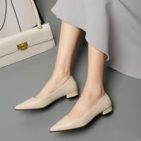 Womens Flat Shoes Leather Pointed Toe Lazy Ballet Flats Ladies Commute to Work Black White Shoes