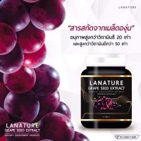 LANATURE GRAPE SEED EXTRACT ลาเนเจอร์ พลัส   สารสกัดจากเมล็ดองุ่น  ปริมาณ 30 แคปซูล