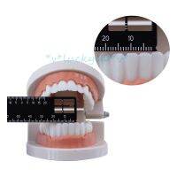 【LZ】☼◇✹  1Pcs novo durável Dental Plastic Precision Measuring Ruler Ferramenta Médica Para Fotografia e Odontologia item ferramenta odontológica