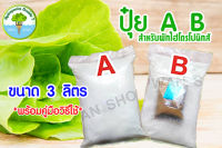 ปุ๋ยไฮโดรโปนิกส์ A,ฺB 3 ลิตร