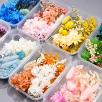 【hot】❀  1Box Colorful Dried Flowers for Epoxy Resin Mold Bouquet Garland Aromatherapy Candle Making Wedding