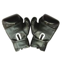 Kids Boxing Gloves Equipment Cartoon Sparring Mitts