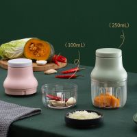 【CW】 Electric Food Garlic Masher Vegetable Meat Ginger Machine USB Charging Blenders