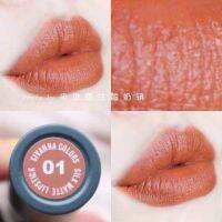 sivanna lip ลิปส้มอิฐ ส้มนู๊ด เม็ดสีแน่น เนื้อแมท เกลี่ยง่าย ติดทนตลอดวัน  ปากไม่แห้ง ไม่ตกร่อง