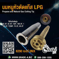 นมหนูหัวตัดแก๊สสีเงินLPG 6290 เบอร์ 0NX Propane and Natural Gas Cutting Tip -Compatible with Harris