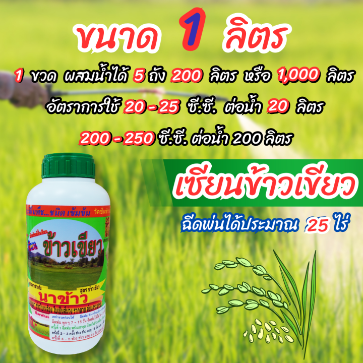 พร้อมส่ง-เซียนข้าวเขียว-1-ลิตรซื้อ1แถม1-ออกรวงดก-ฮอร์โมนข้าว-ปุ๋ยฉีดข้าว-ฮอร์โมน-อารหารเสริมพืช-ปุ๋ย-เร่งต้น-อะมิโน